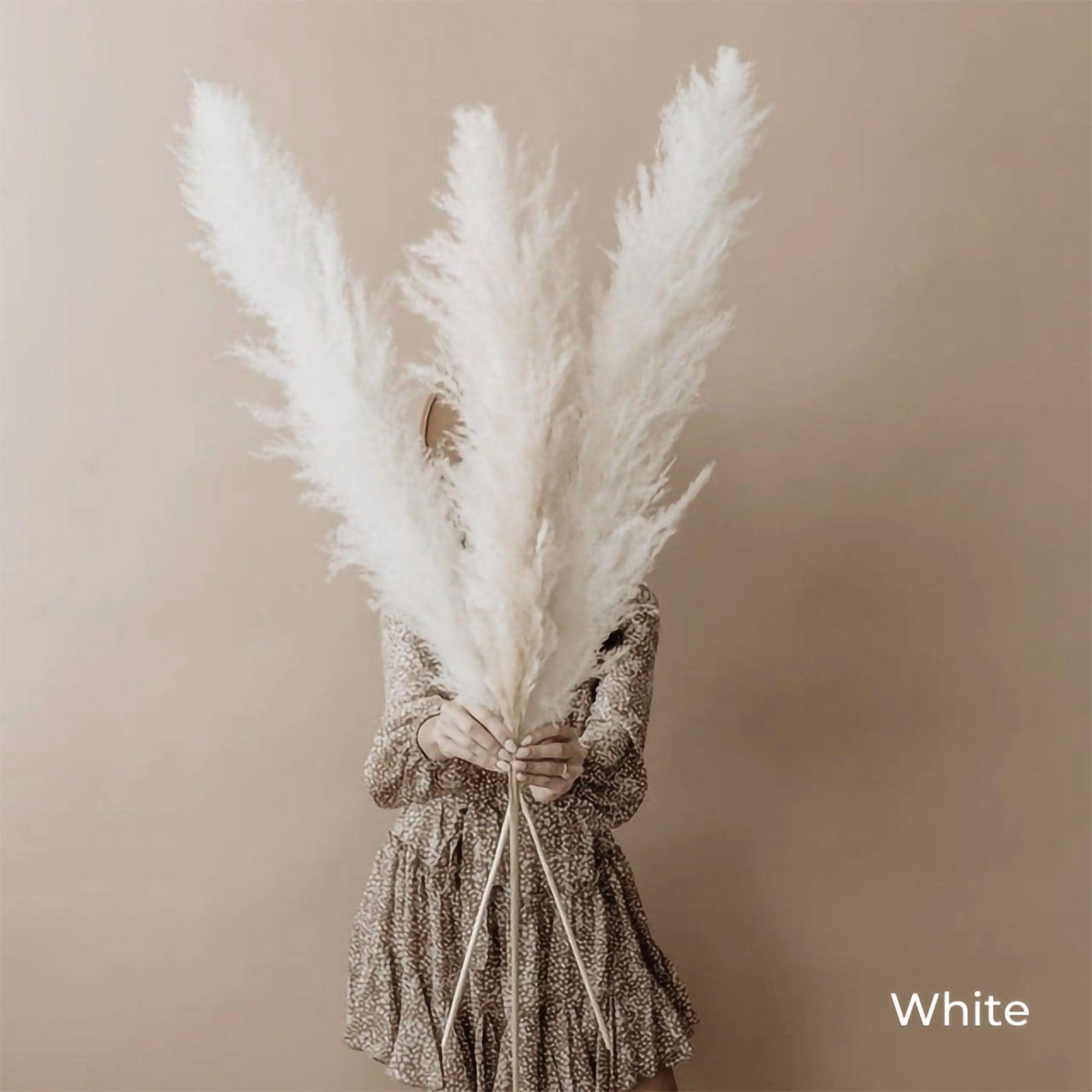 BohoFluff | Natuurlijk gedroogd pampagras boeket - Pluizig riet voor moderne Boho vaas & Woondecoratie