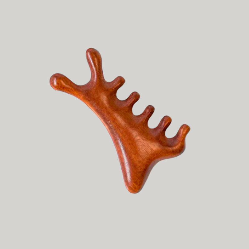 CombEase | 4-in-1 massagekam – ontklitter, hoofdhuidmassageapparaat en borstel tegen kroeshaar