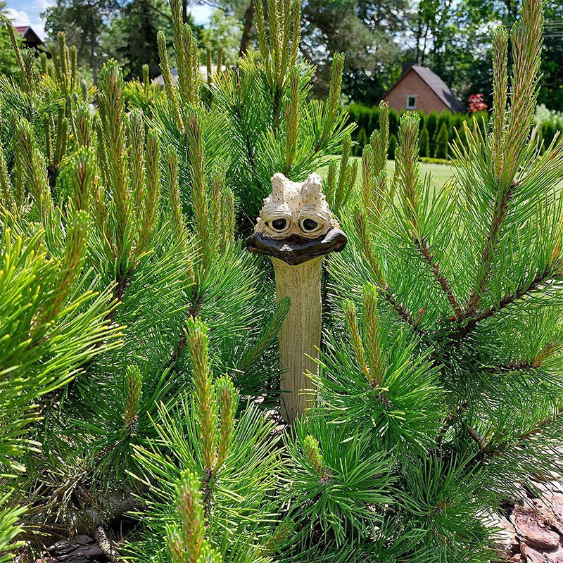 TricksterBird | Grappige Tuindecoratie – Verborgen Langnek Kip/Ostrich Beeld