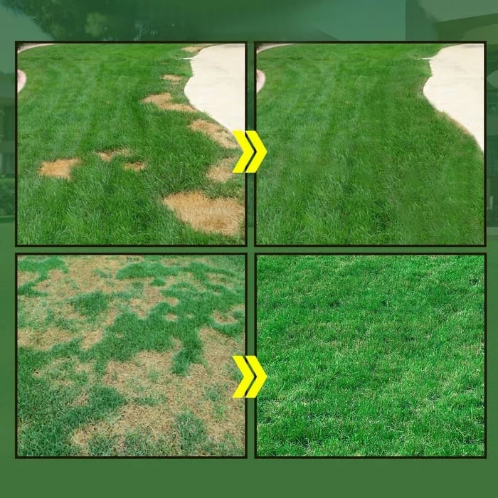 LushPatch | Hersteloplossing voor gazon - 2 stuks - Snelle kieming, gazonherstel