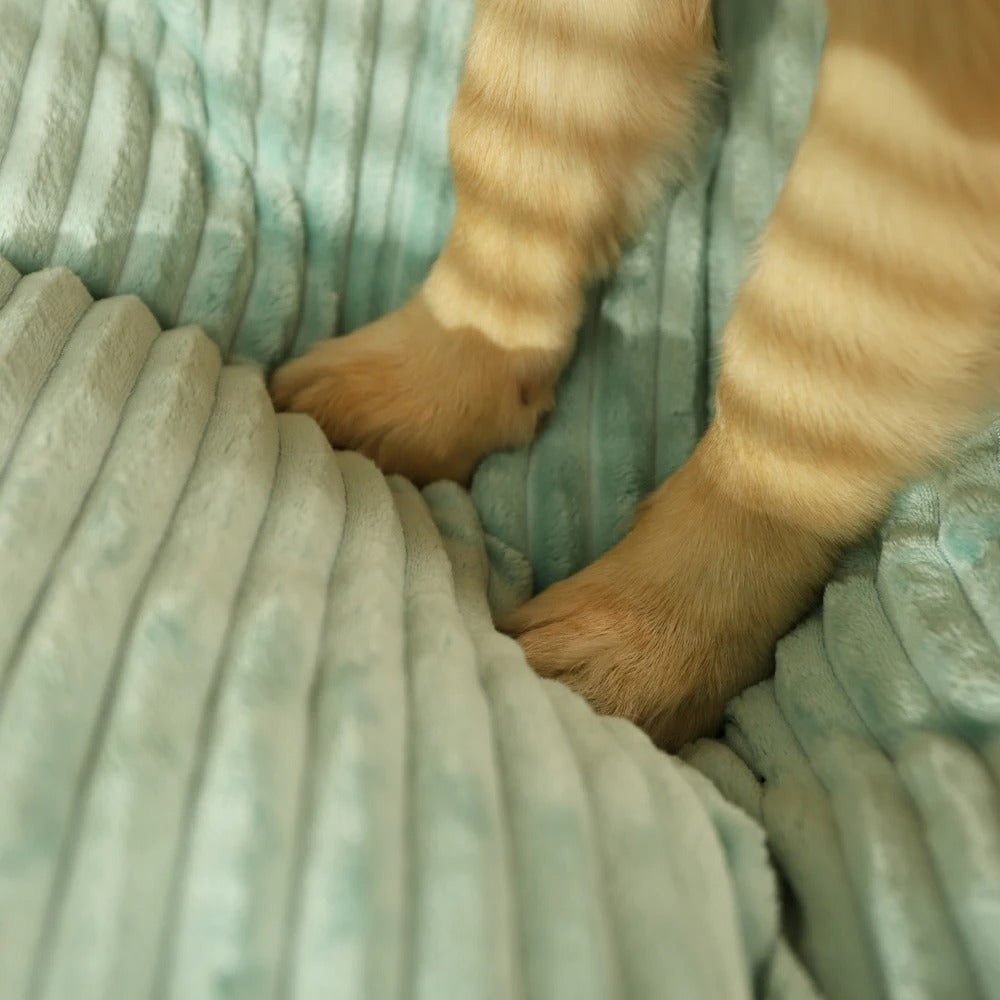 OrthoPup | Orthopedisch hondenkussen met afneembare hoes – Memory Foam-bed voor grote en kleine honden