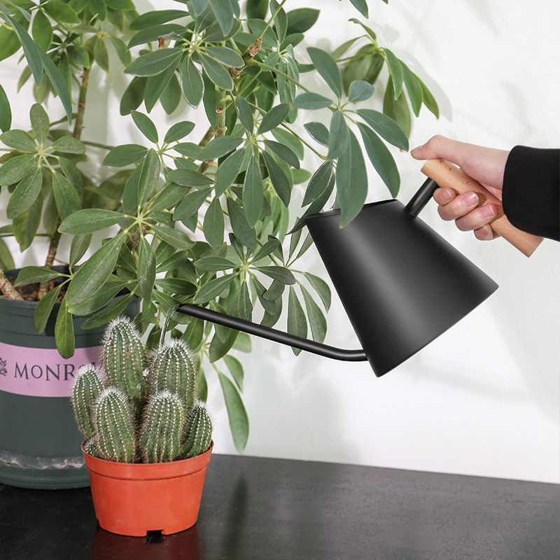 HydraBloom | Moderne gieter met houten handvat – stijlvol gereedschap voor het water geven van tuinplanten