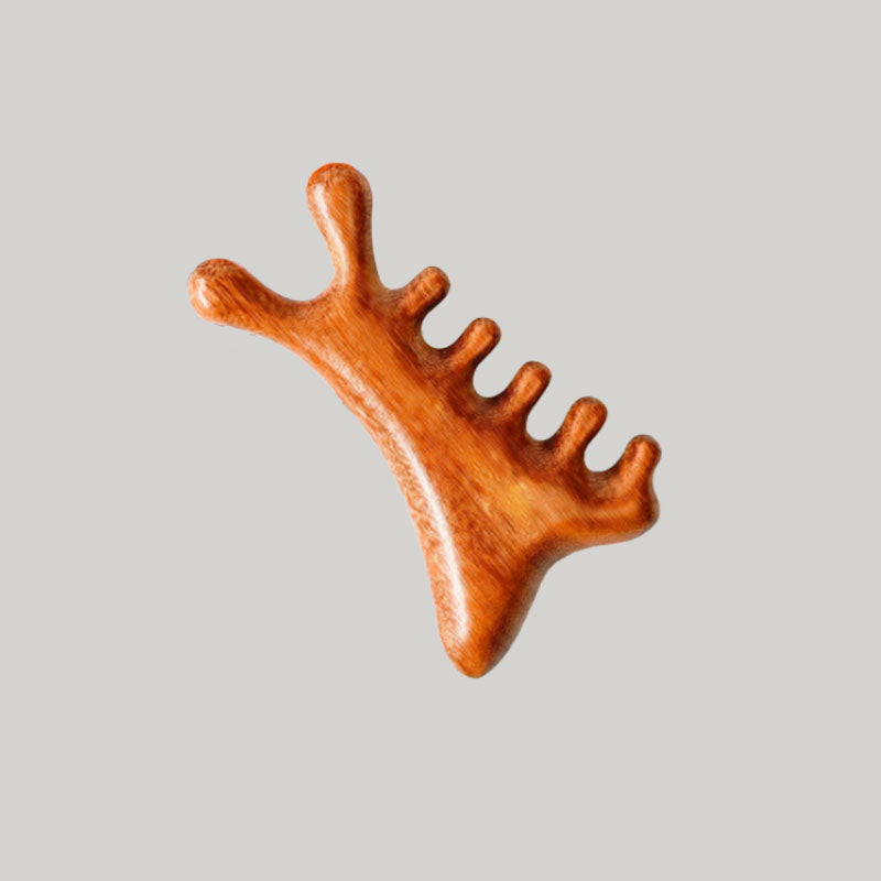 CombEase | 4-in-1 massagekam – ontklitter, hoofdhuidmassageapparaat en borstel tegen kroeshaar