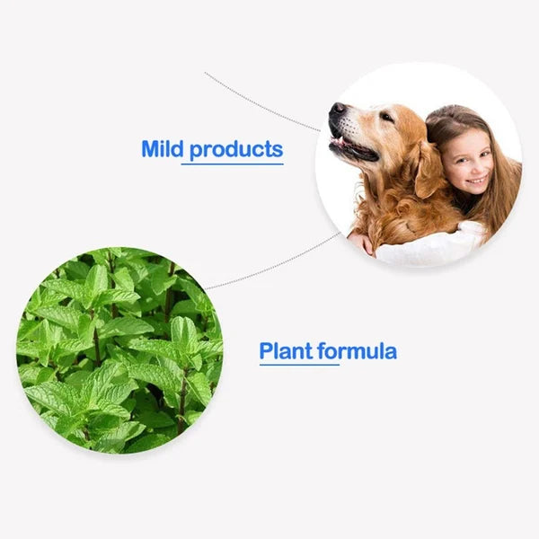 PetBreathy | Fresh Breath kauwsnacks voor honden en katten – Natuurlijke tandverzorging voor huisdieren
