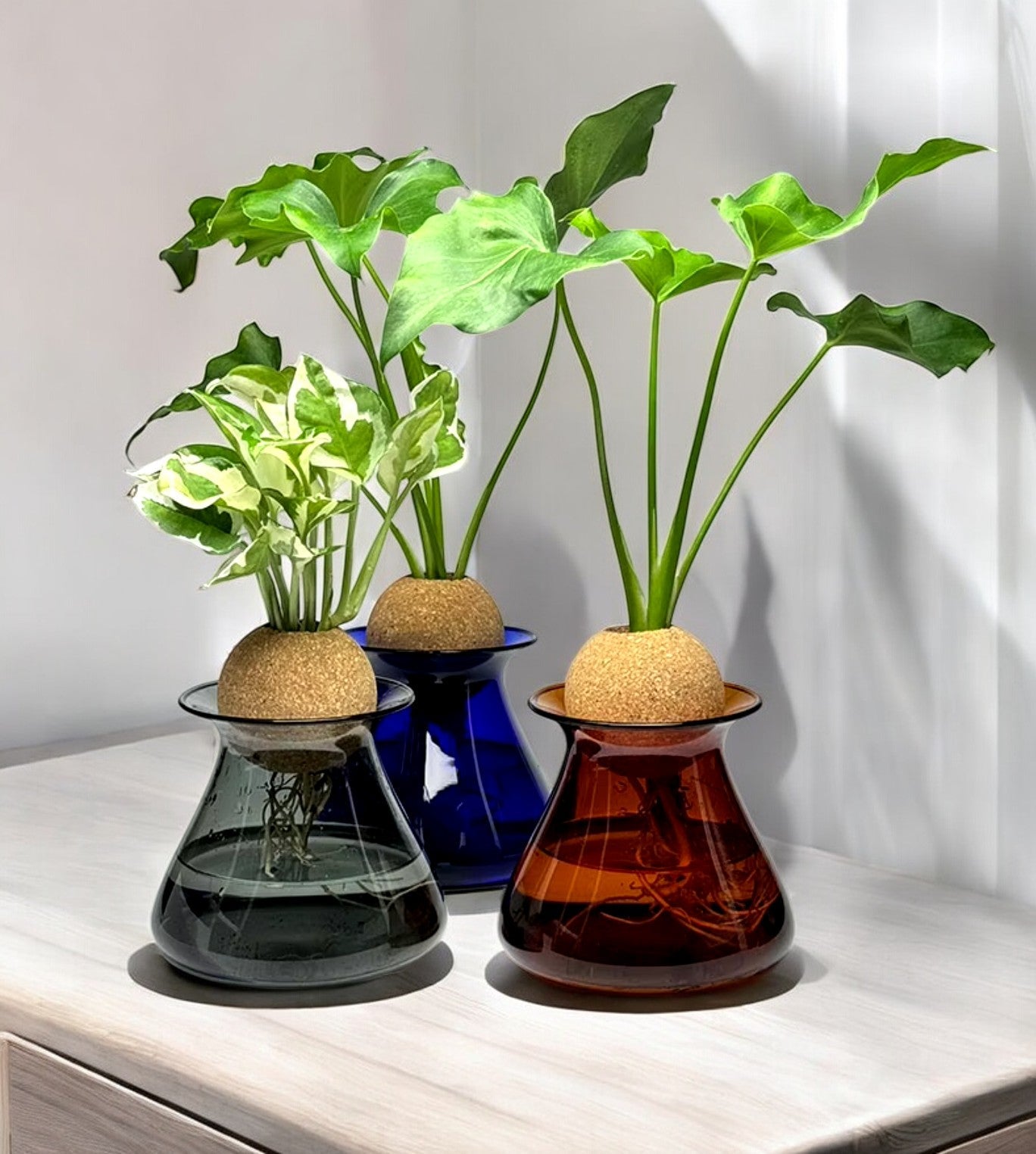 HydraVase | Moderne Hydroponic Glazen Vaas voor Planten, Minimalistisch Desktop Terrarium