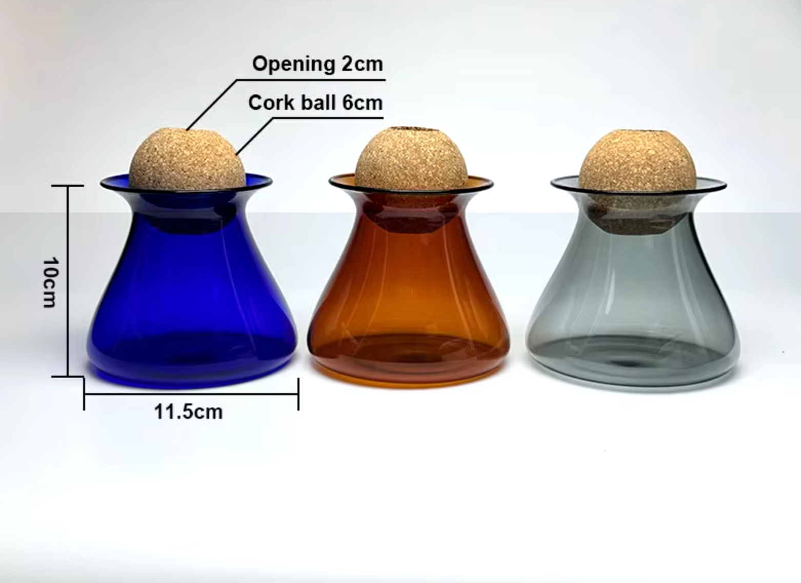 HydraVase | Moderne Hydroponic Glazen Vaas voor Planten, Minimalistisch Desktop Terrarium