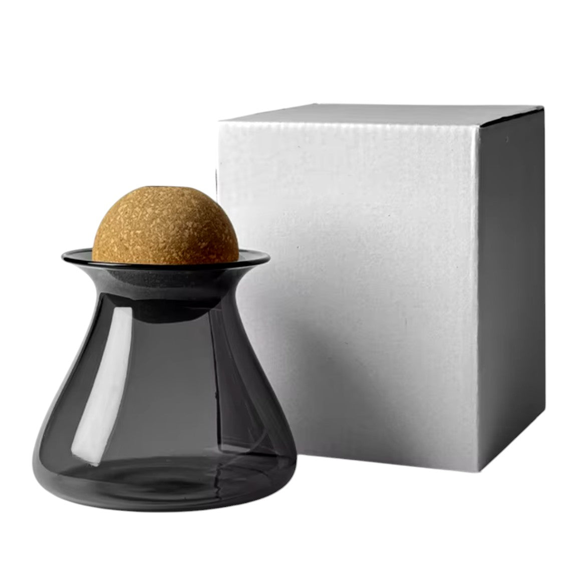 HydraVase | Moderne Hydroponic Glazen Vaas voor Planten, Minimalistisch Desktop Terrarium