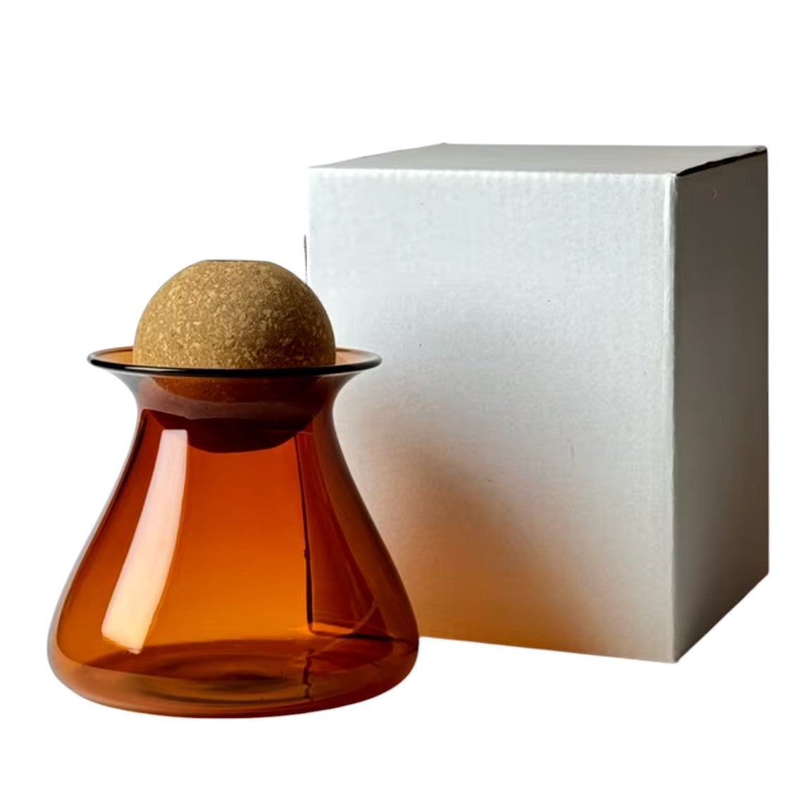 HydraVase | Moderne Hydroponic Glazen Vaas voor Planten, Minimalistisch Desktop Terrarium