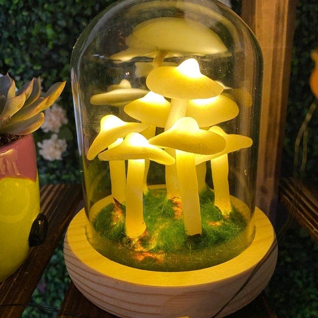 MycoJar | DIY Paddenstoelen in een glas