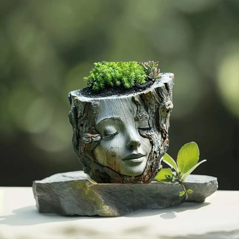 DriftMuse | Creatieve, rustige plantenbak voor gezichten, decoratie voor binnentuinen, moderne plantenpot