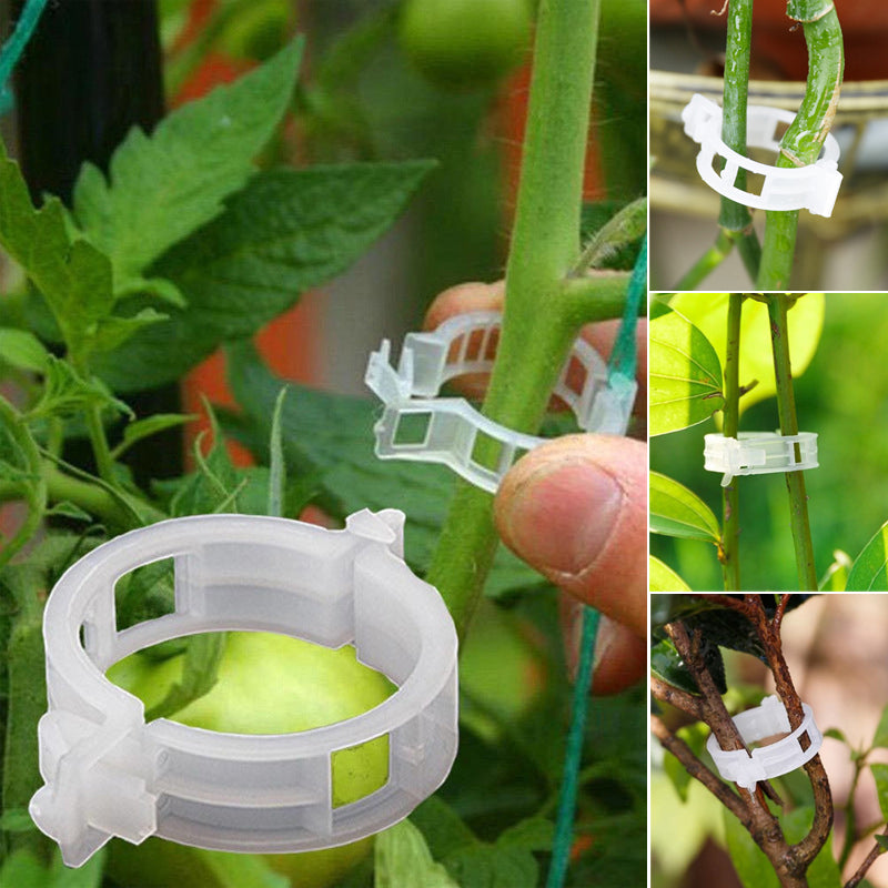 BotaniClips | Plantenklemmen voor stengels, wijnstokken en bloemen - Herbruikbare tuinklemmen