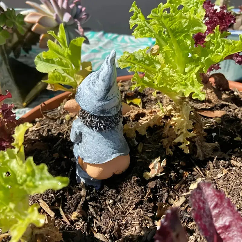 Mischief | Ondeugende tuinkabouterbeeldje, decoratief tuinbeeld voor buiten, grappig ornament