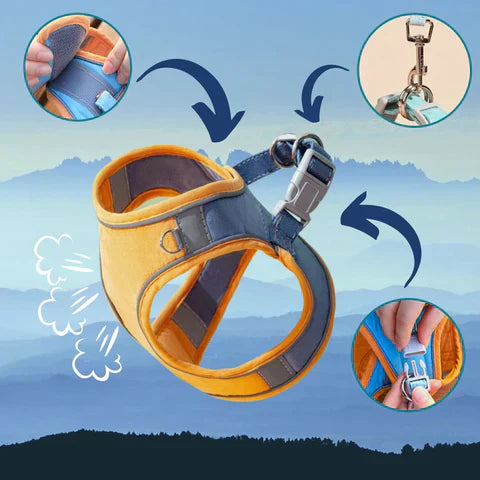 ShineHarness | Comfortabel kattenharnas met reflecterende strepen voor veilige nachtelijke wandelingen