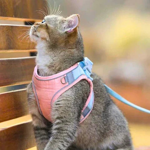 ShineHarness | Comfortabel kattenharnas met reflecterende strepen voor veilige nachtelijke wandelingen