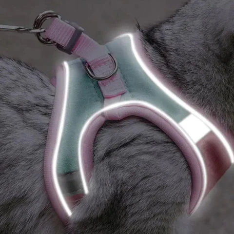 ShineHarness | Comfortabel kattenharnas met reflecterende strepen voor veilige nachtelijke wandelingen
