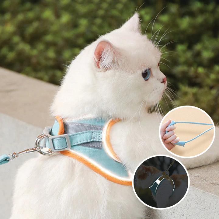 ShineHarness | Comfortabel kattenharnas met reflecterende strepen voor veilige nachtelijke wandelingen