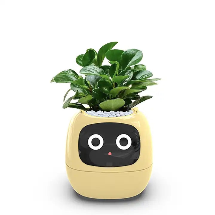 BotaniQ | Indoor slimme plantenpot