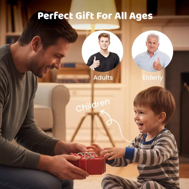 SteelTwist | In elkaar grijpende metalen puzzelset – Hersenkraker & Denkspel