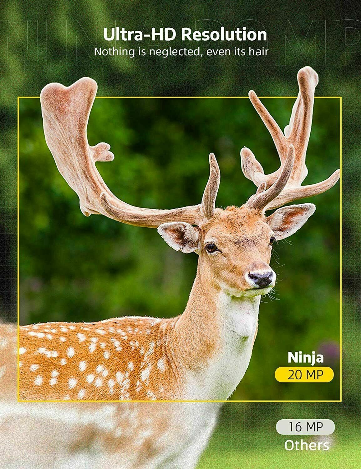 NightScout | Draadloze HD-wildcamera, bewegingsdetectie, nachtzicht, jacht en wildobservatie buitenshuis