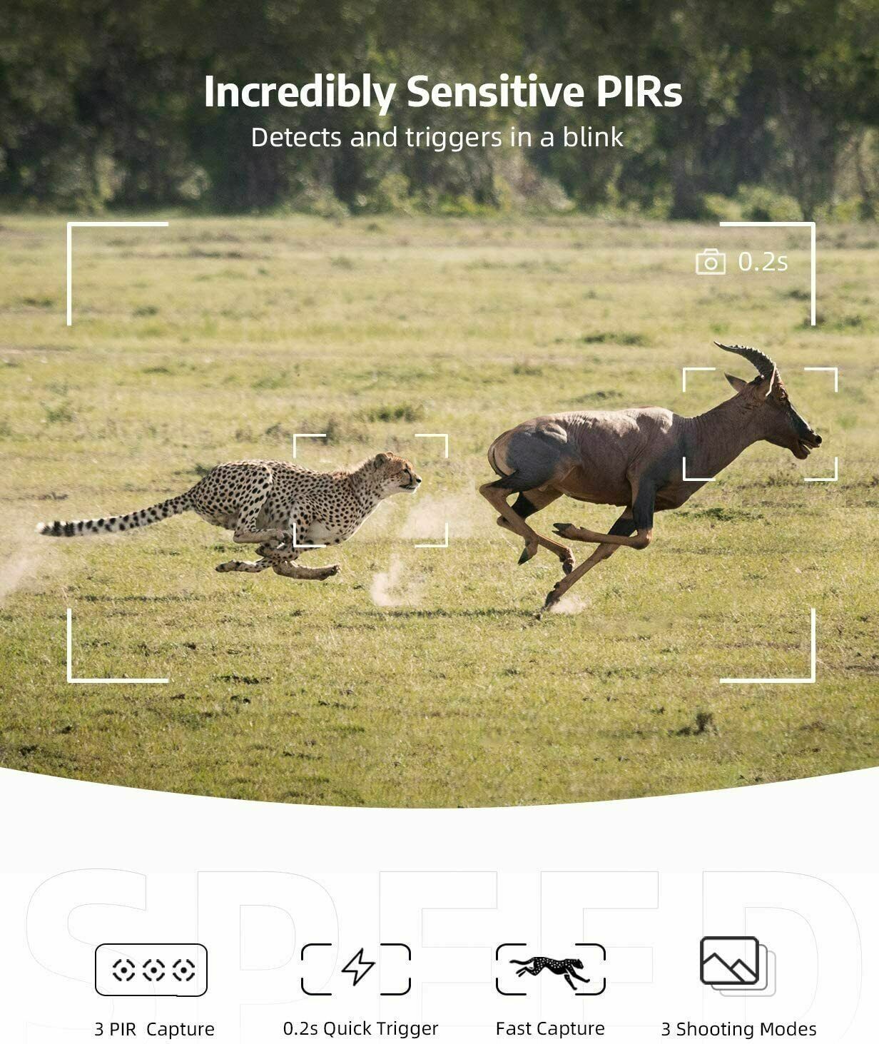 NightScout | Draadloze HD-wildcamera, bewegingsdetectie, nachtzicht, jacht en wildobservatie buitenshuis