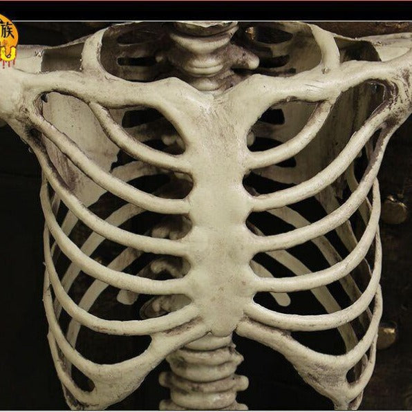 GhoulGuard | 170 cm levensgroot Halloween-skelet – beweegbare tuindecoratie voor een spookachtig spookhuis en tuin