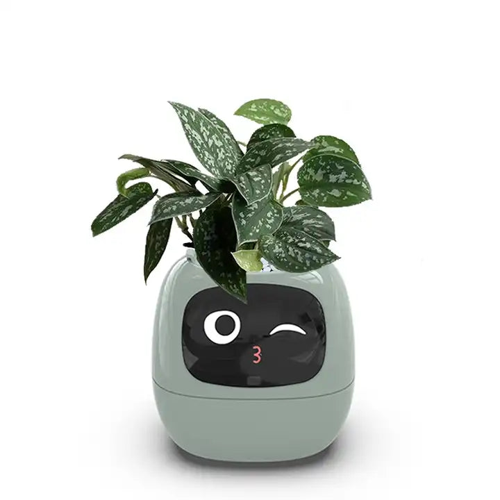 BotaniQ | Indoor slimme plantenpot