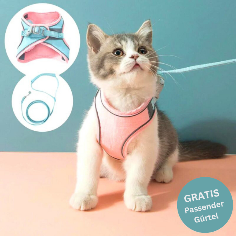 ShineHarness | Comfortabel kattenharnas met reflecterende strepen voor veilige nachtelijke wandelingen