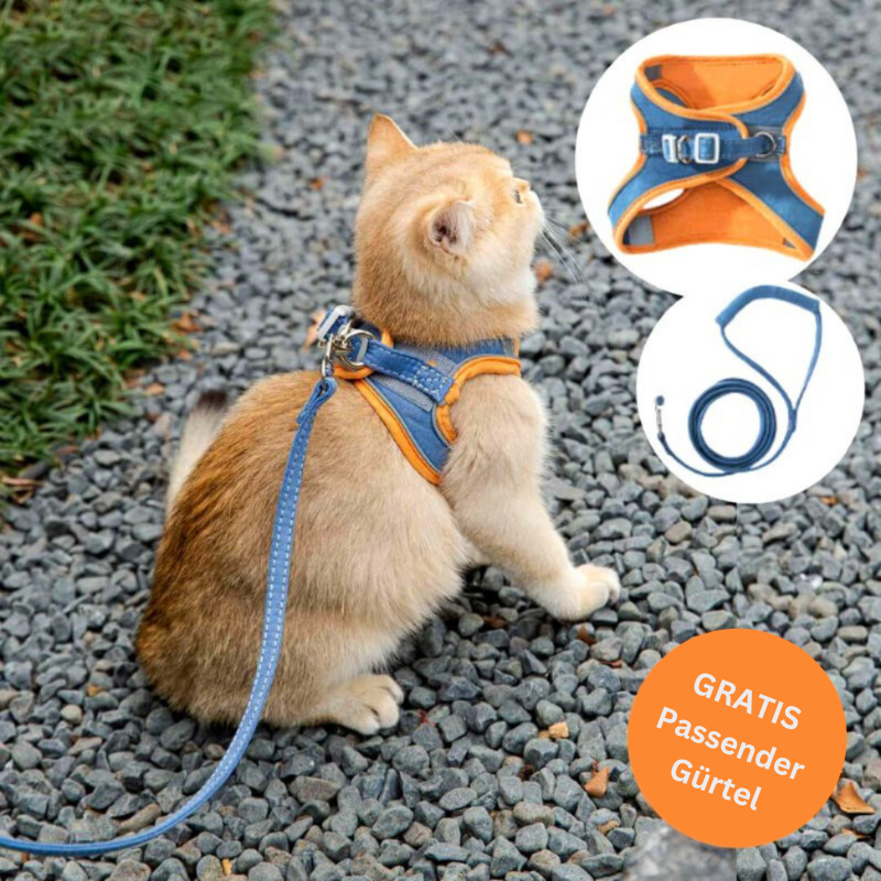ShineHarness | Comfortabel kattenharnas met reflecterende strepen voor veilige nachtelijke wandelingen