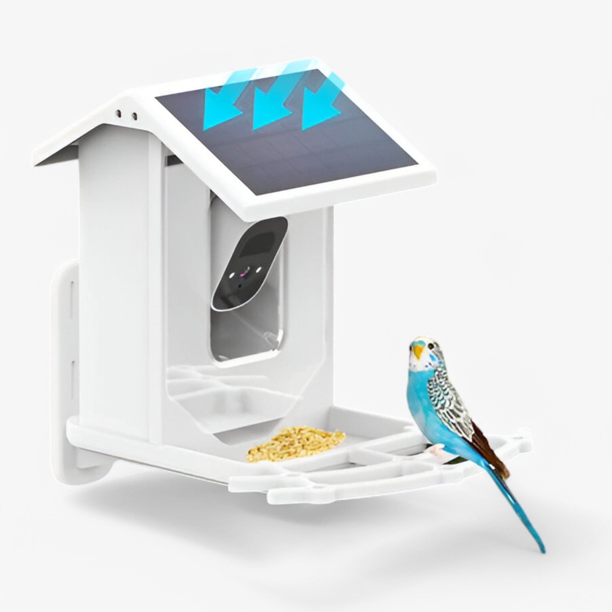 ChirpBox | Slimme vogelvoederbak met HD-camera – Observeer en voer vogels op een intelligente manier