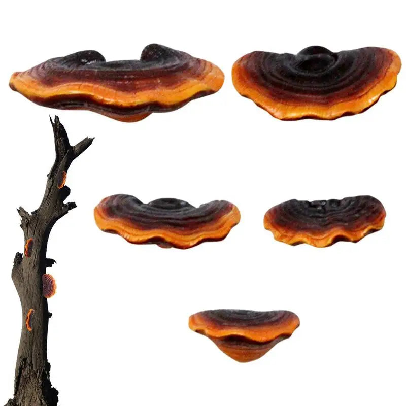 MysticSpore | Fee Donkere Paddestoel Decor - Betoverend Fantasie Paddestoel Beeldje voor Huis en Tuindecoratie