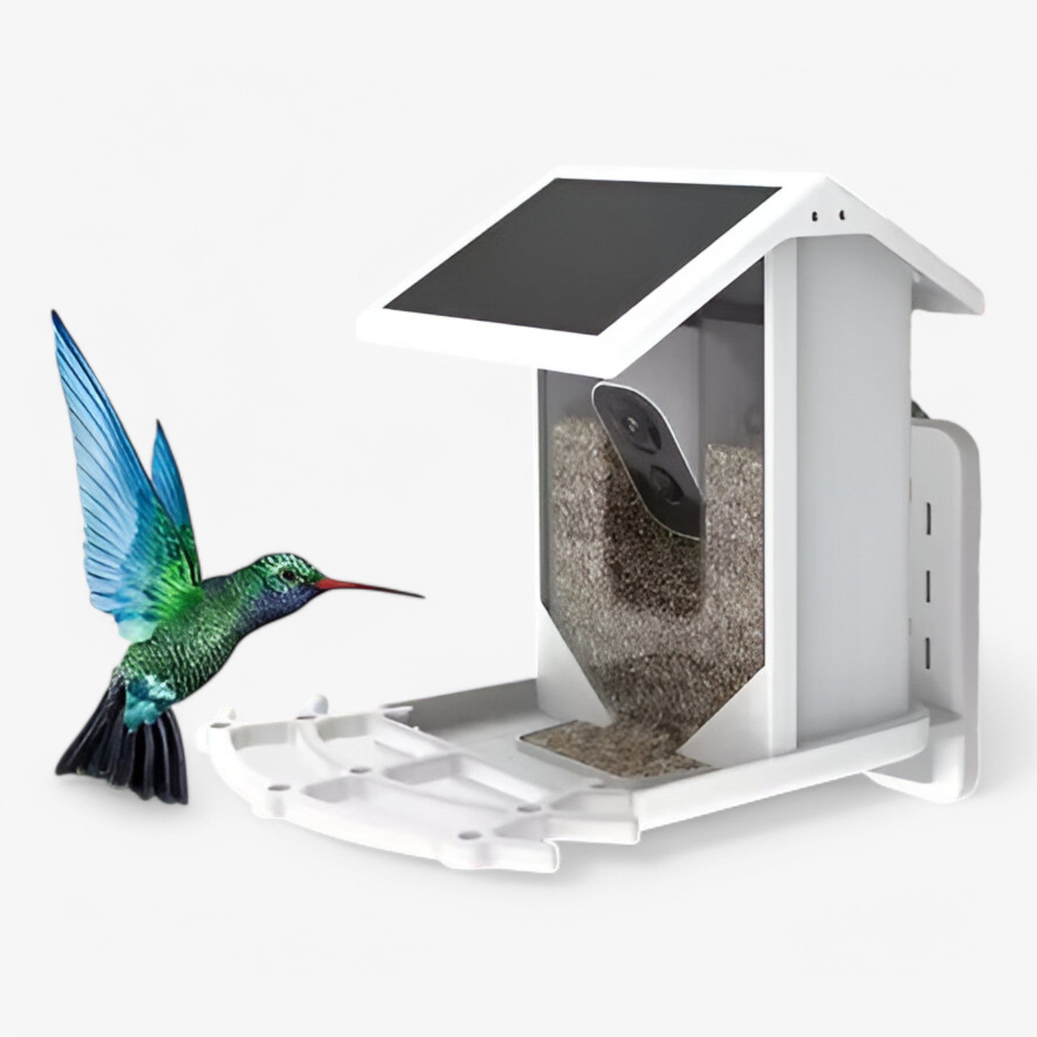 ChirpBox | Slimme vogelvoederbak met HD-camera – Observeer en voer vogels op een intelligente manier