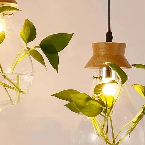 EcoSphere | Unieke Glazen Bol Plantenlamp