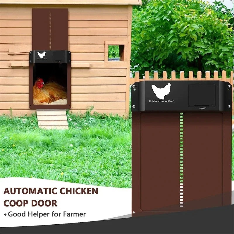 CoopMate | Slimme automatische kippenhokdeur – met timer en sensor voor veilige toegang voor kippen