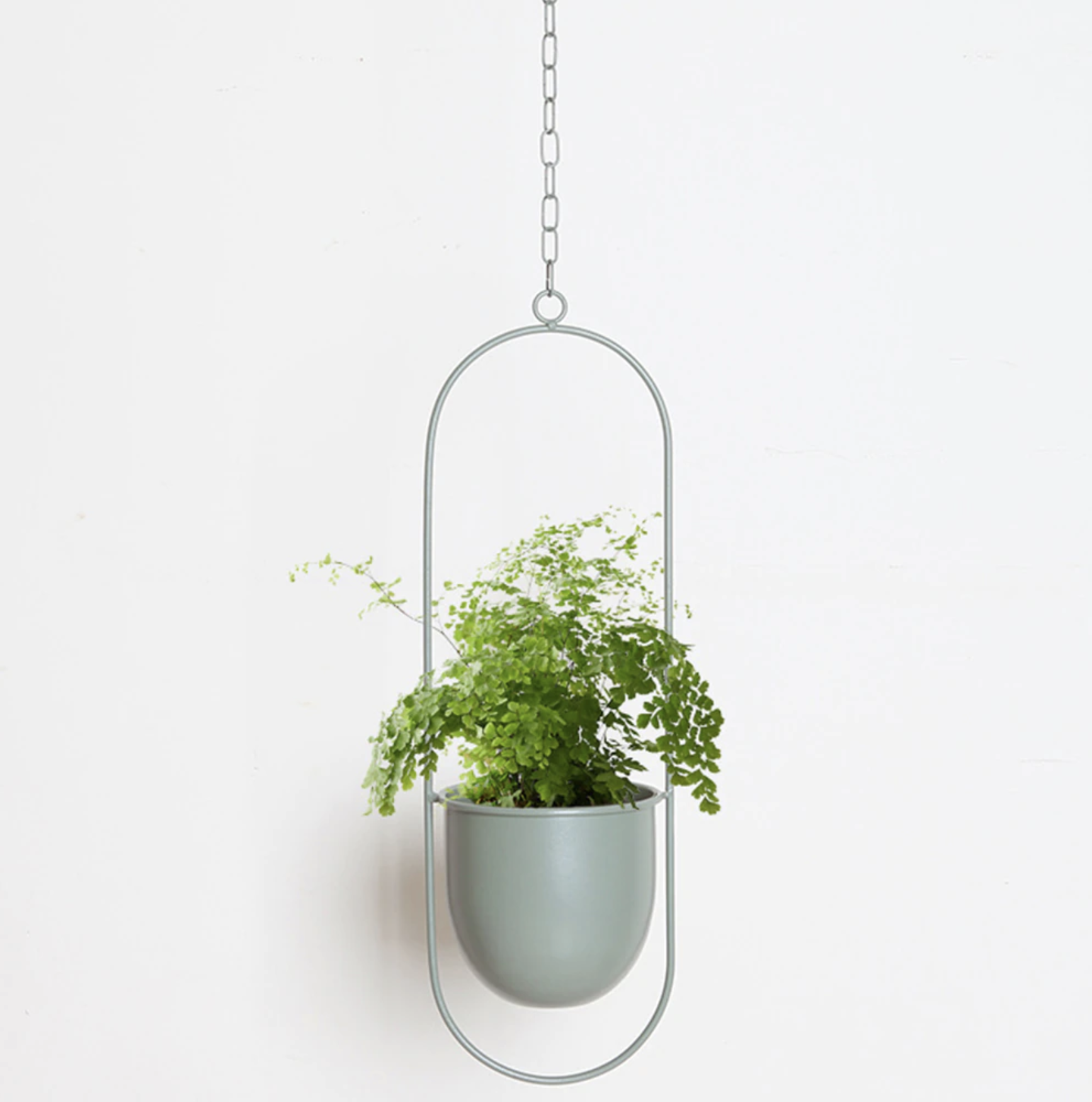 FloraFrame | Moderne minimalistische muurplantenhanger