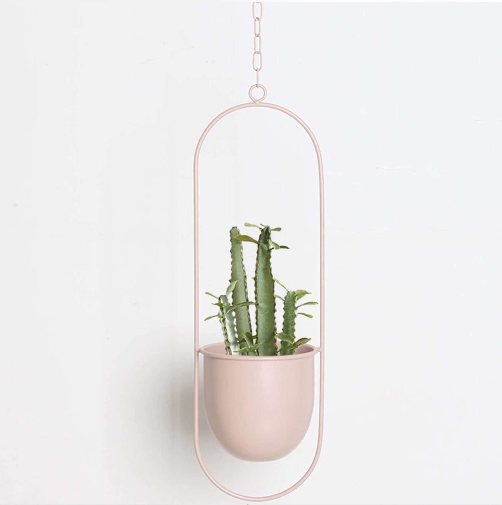 FloraFrame | Moderne minimalistische muurplantenhanger