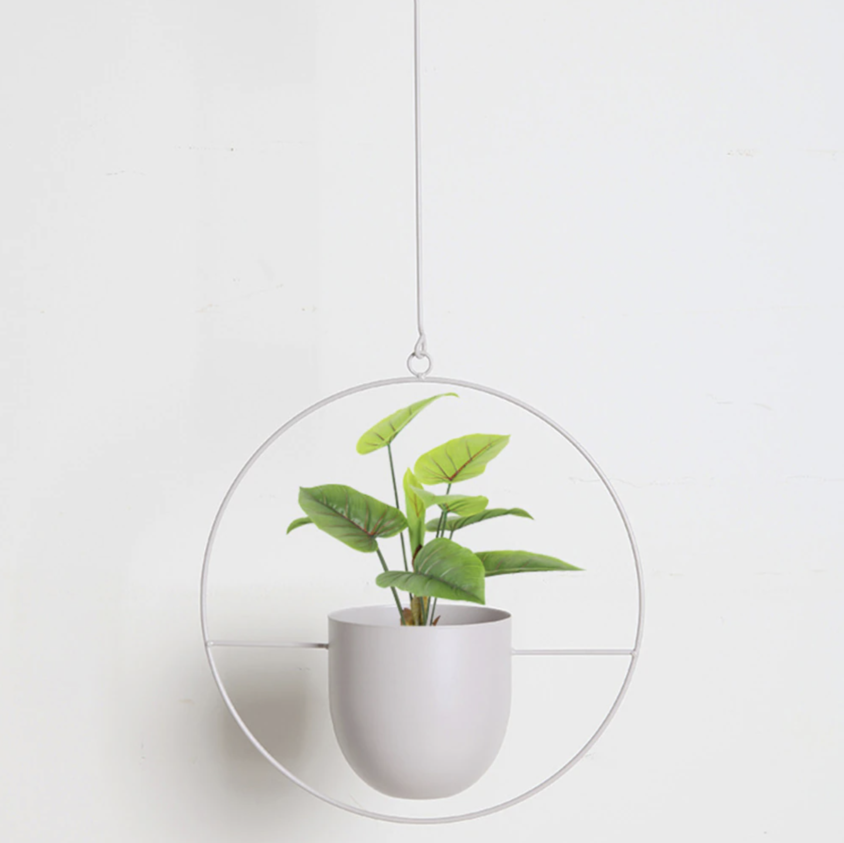 FloraFrame | Moderne minimalistische muurplantenhanger