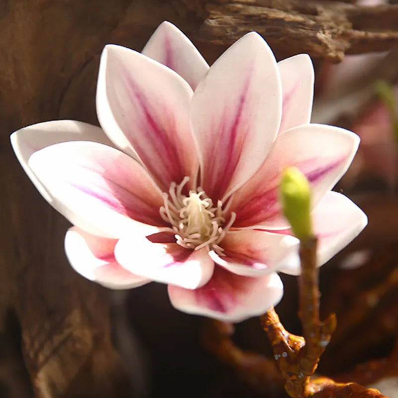 FloraLuxe | Kunstmatige Magnolia bloemen - Realistische Faux bloemdecoratie