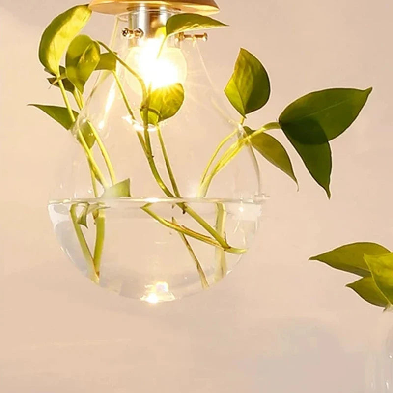 EcoSphere | Unieke Glazen Bol Plantenlamp