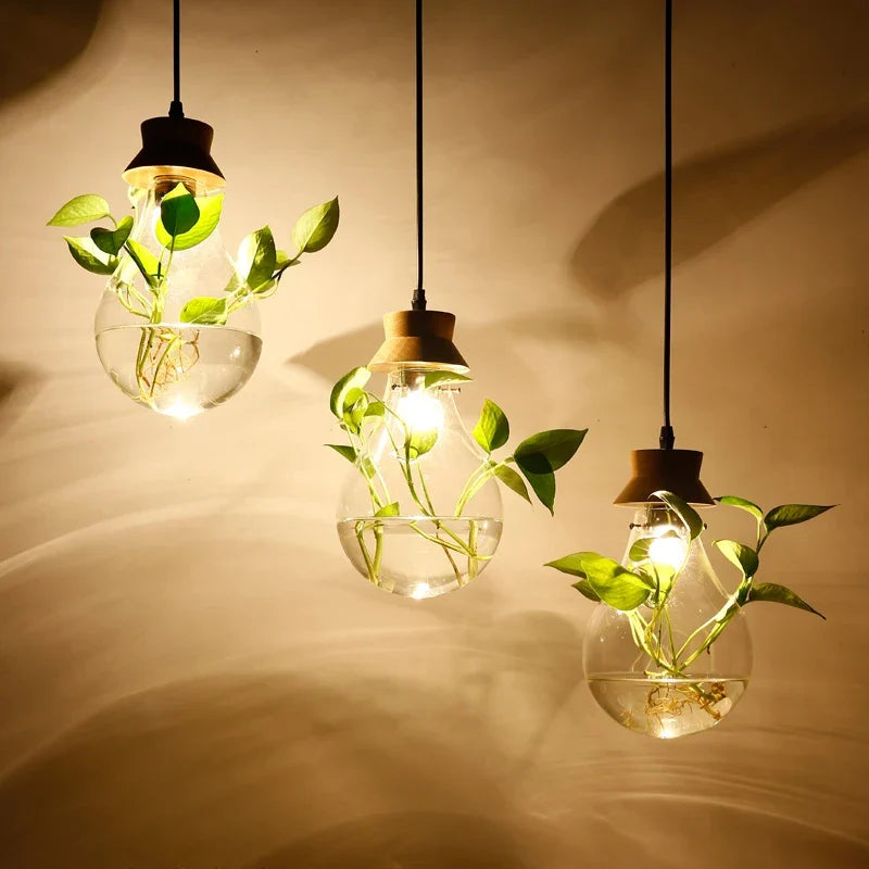 EcoSphere | Unieke Glazen Bol Plantenlamp