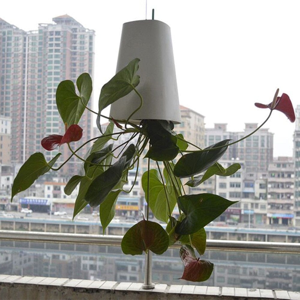 AeriPot | Upside down hangende bloempot - moderne plantenbak voor binnen en buiten