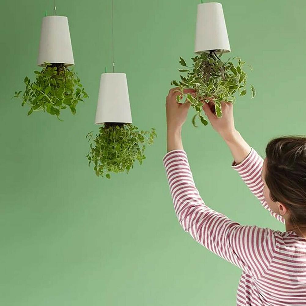 AeriPot | Upside down hangende bloempot - moderne plantenbak voor binnen en buiten