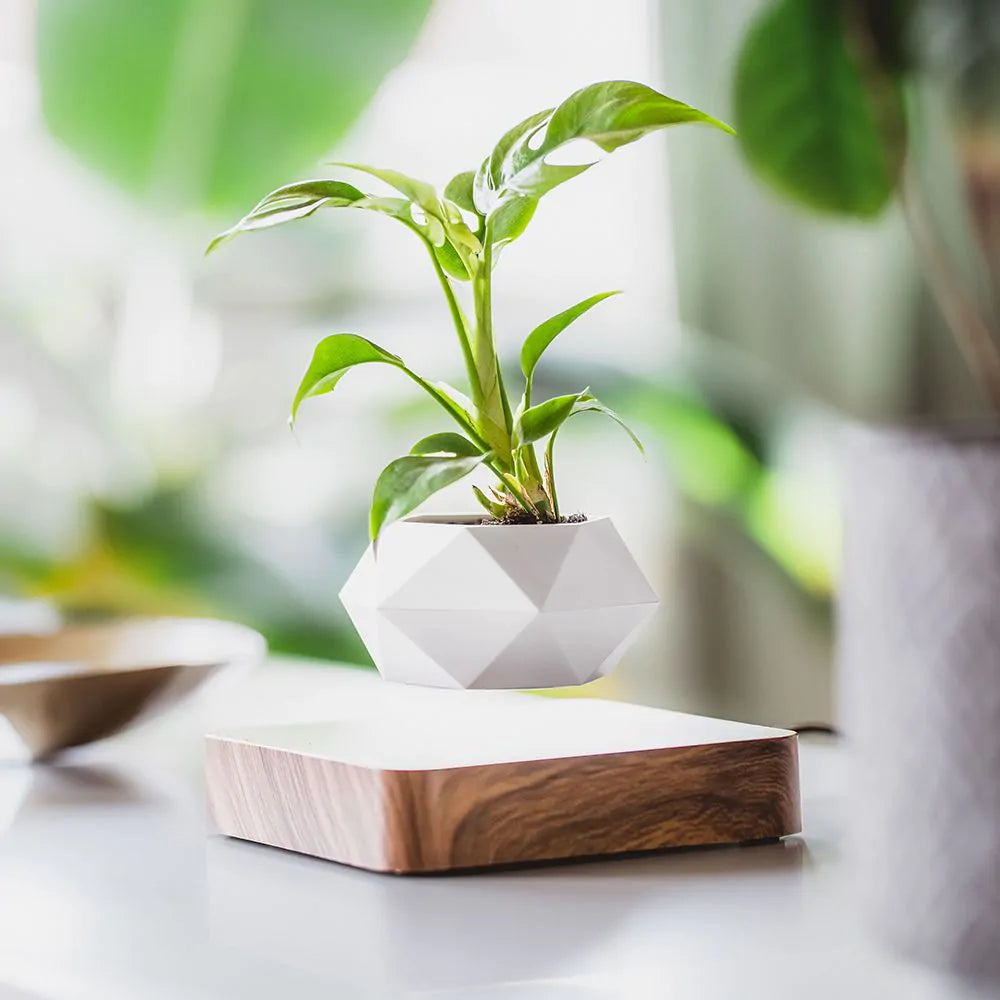 AirPot | Futuristische levitatie plantenpot