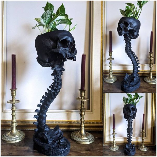 BoneBloom | Planter met schedel en ruggengraat