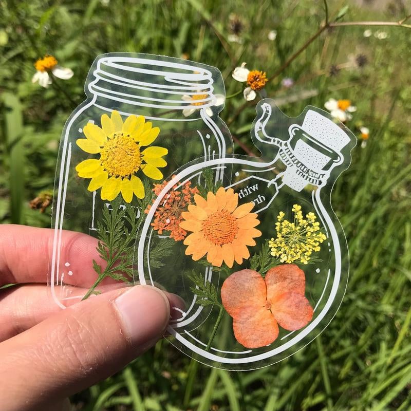 BloomMark | Set gedroogde bloemen bladwijzers – waterdichte botanische bladwijzers cadeauset