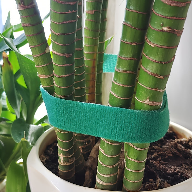 StemGrip | Tuinplantbinders – Verstelbare takondersteuningsband & plantbevestigingsgereedschap