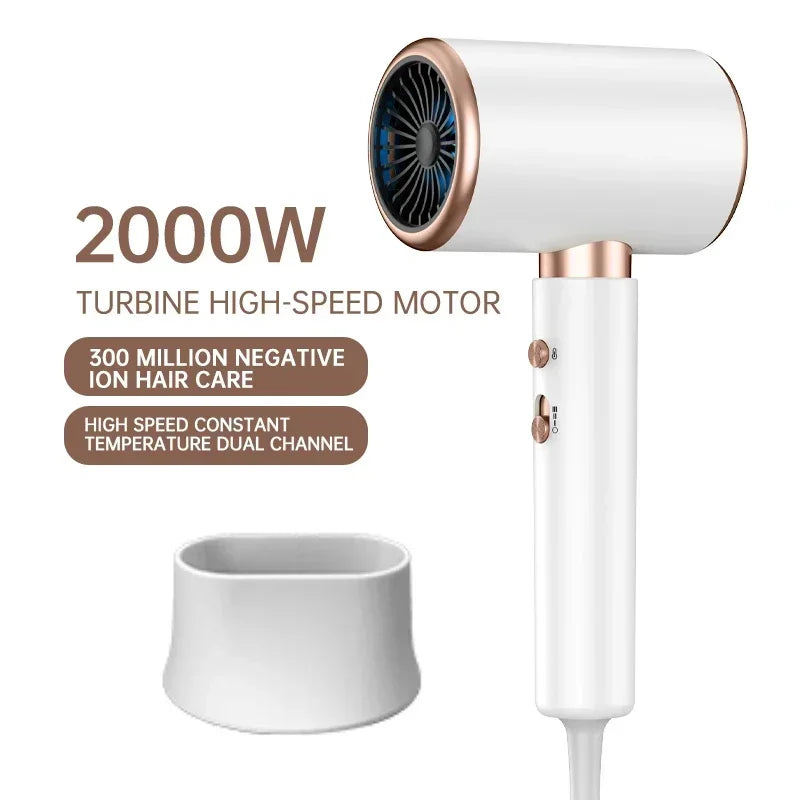 IonBlaze | 2400W Professionele Ionische Haardroger - Warme & Koude Lucht, Pluisvrij Haar