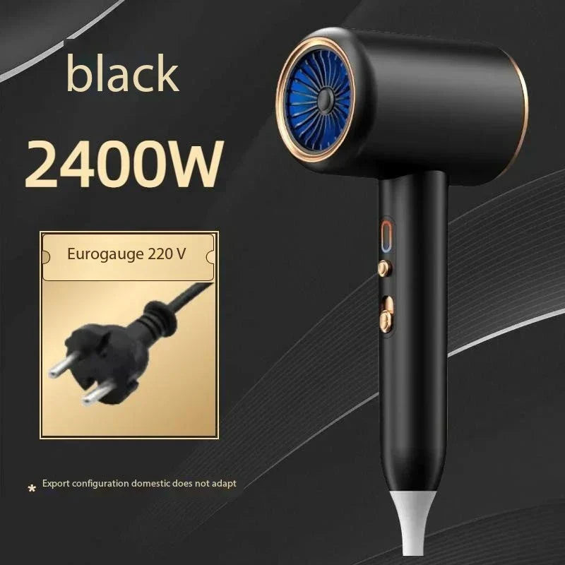 IonBlaze | 2400W Professionele Ionische Haardroger - Warme & Koude Lucht, Pluisvrij Haar