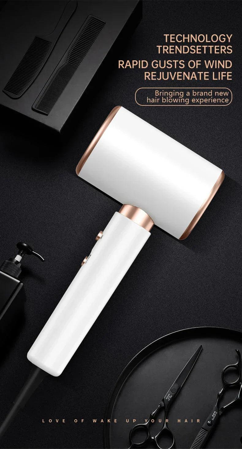IonBlaze | 2400W Professionele Ionische Haardroger - Warme & Koude Lucht, Pluisvrij Haar