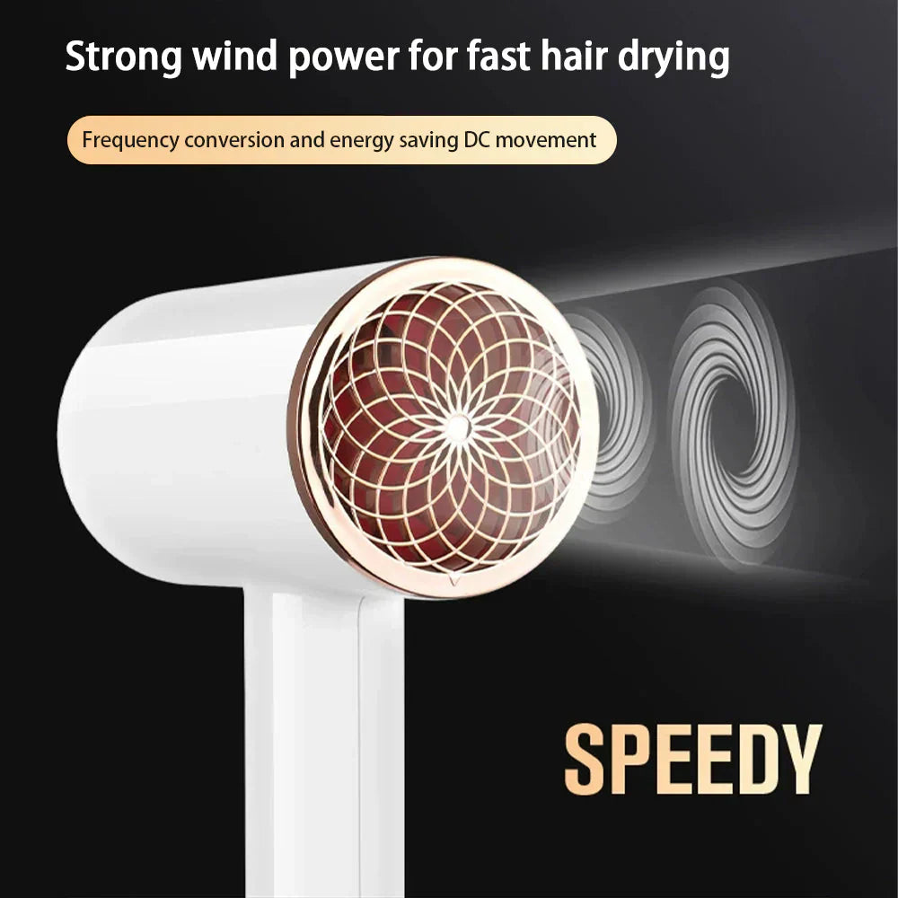 IonBlaze | 2400W Professionele Ionische Haardroger - Warme & Koude Lucht, Pluisvrij Haar