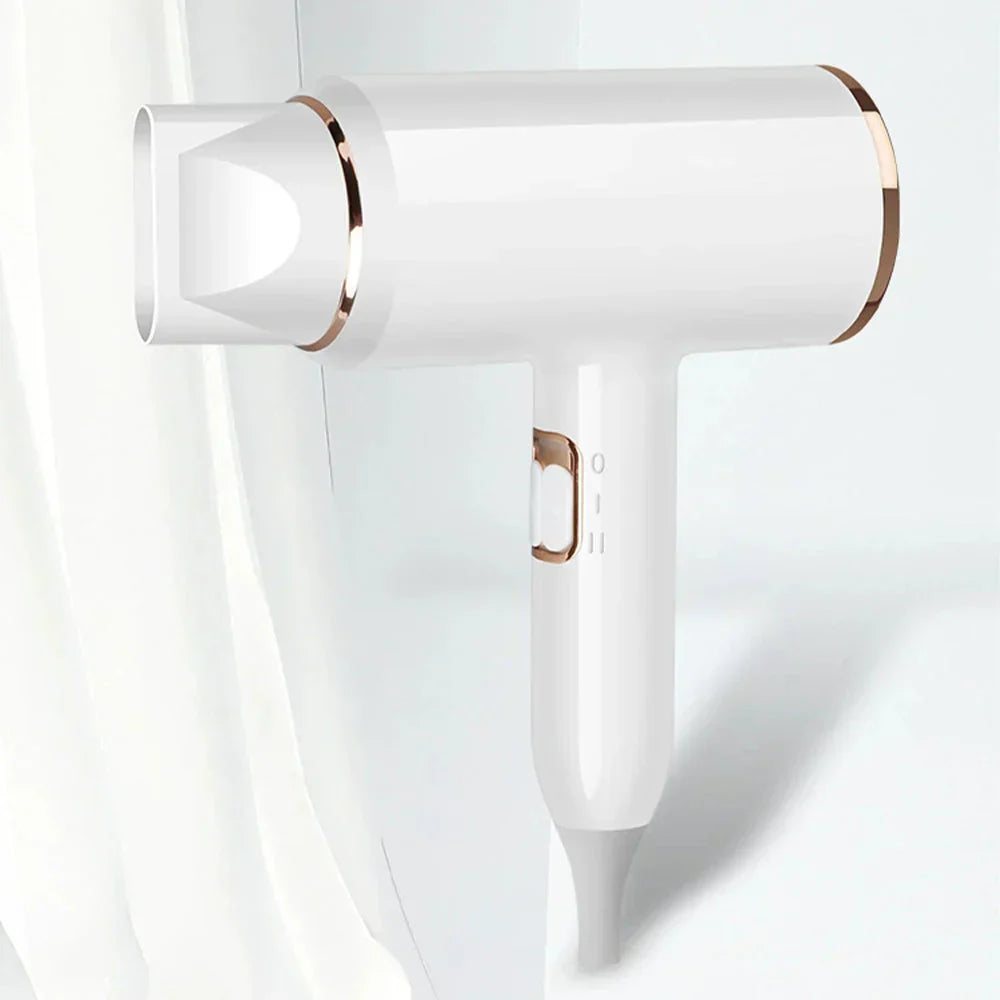 IonBlaze | 2400W Professionele Ionische Haardroger - Warme & Koude Lucht, Pluisvrij Haar